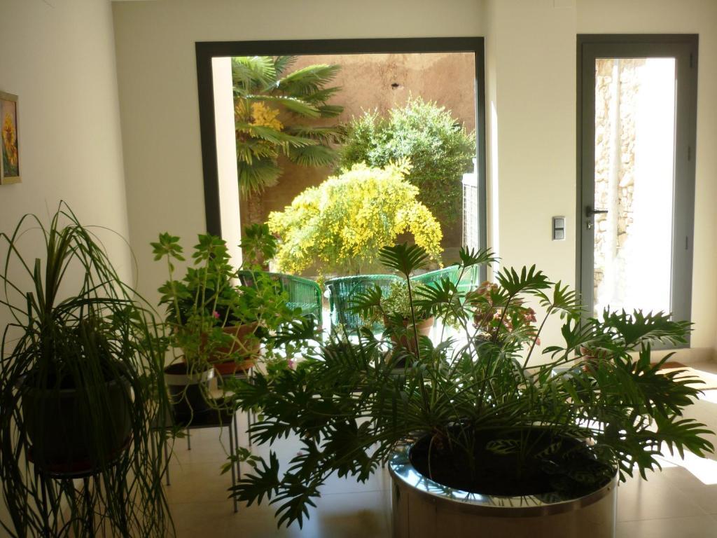 Posada Del Almudi Daroca Pokoj fotografie